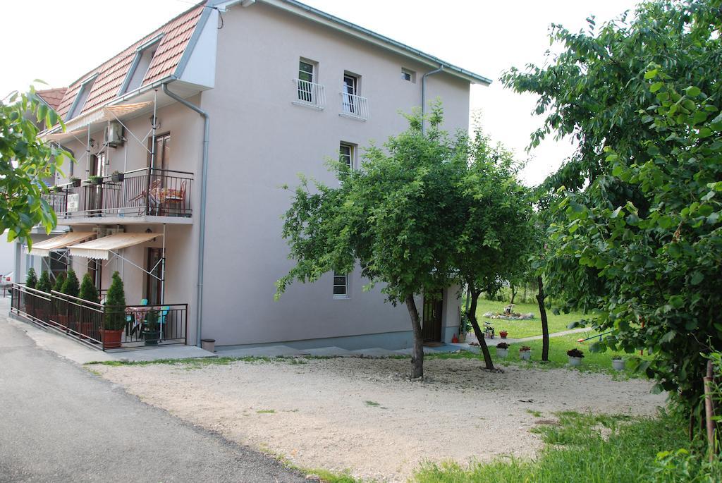 Apartments Hadzi Soko Banja Exterior foto